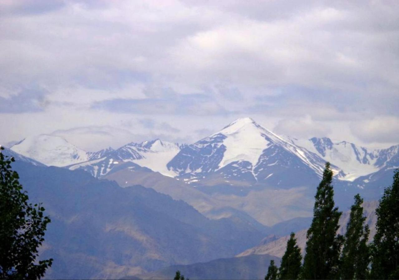 Hotel Ladakh Heaven Leh Exteriör bild